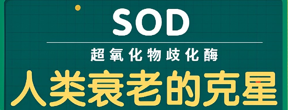 SOD超氧化物歧化酶十大功效