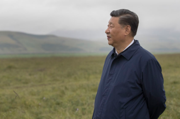 共谋绿色发展之路 习近平倡导人与自然和谐共生